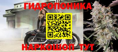 гашик Апшеронск