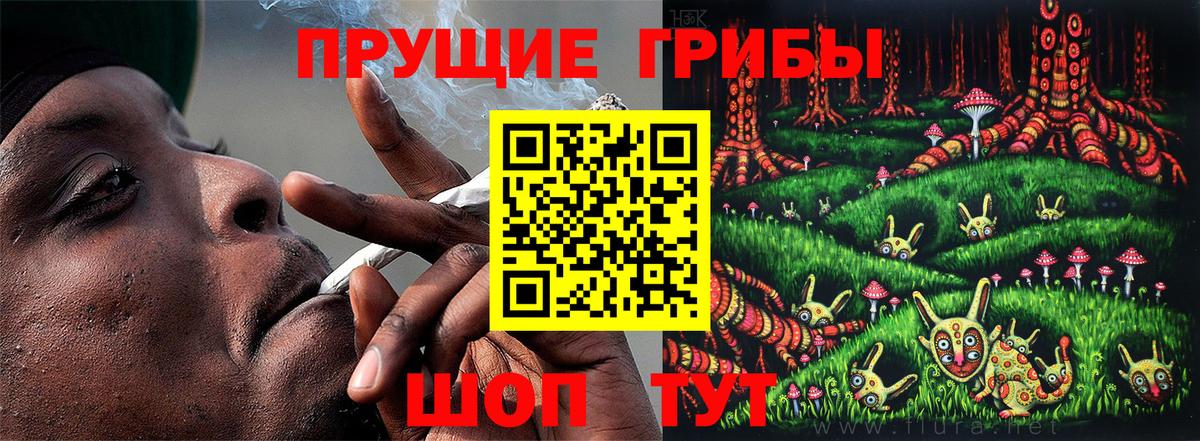Псилоцибиновые грибы ЛСД  Псилоцибиновые грибы мухоморы  хочу наркоту  Вход с VPN  Ачхой-Мартан 