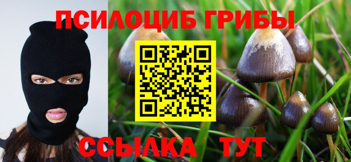 МЕТАДОН  Метамфетамин  Меф МЯУ МЯУ  Цена  Вход с VPN  Cocaine  ГАШИШ  Марихуана  ЭКСТАЗИ  ГАШ  Ачхой-Мартан  Мефедрон  